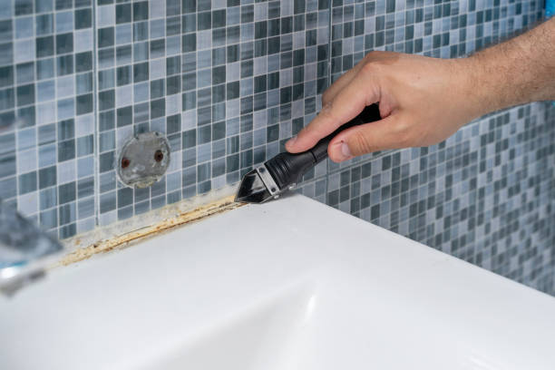 Best Home Mold Removal  in Damascus, OR