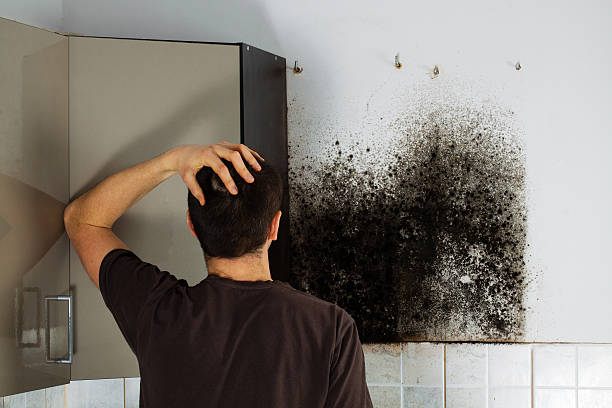 Best Crawl Space Mold Removal  in Damascus, OR